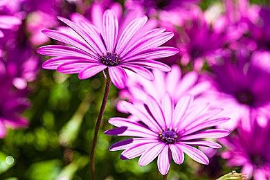 潜行FPS《白色沙漠》准预览版实机预告片展示