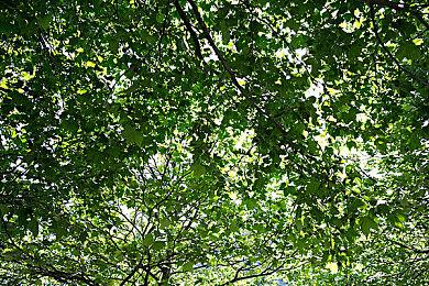 月活超越畅销大作销量 《我的世界》月活跃用户突破1.41亿