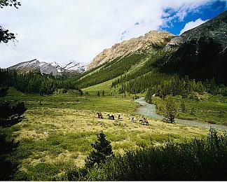 暴雪新手游《魔兽大作战》提前上线 免费游玩