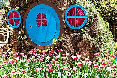 经营管理游戏《学园构想家》Steam页面上线 发售日期待定